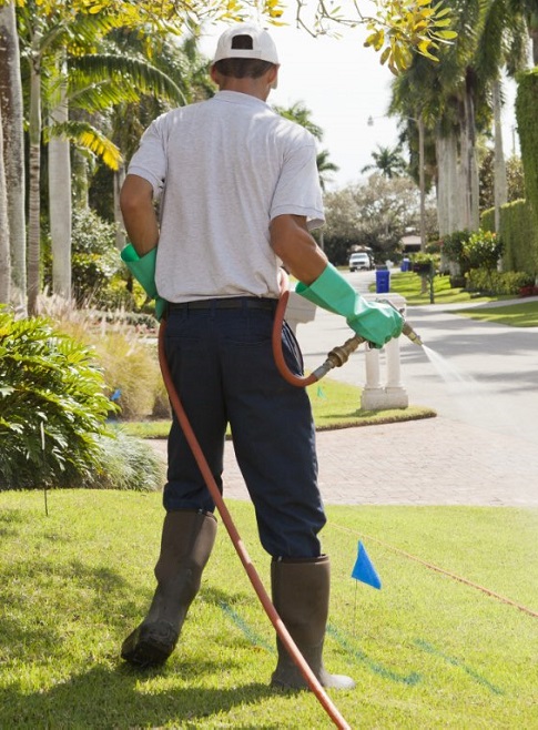 Lawn care specialist applying a lawn treatment